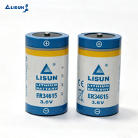 Batterie Li-SOCl2 D ER34615 3.6V 19000mAh à longue durée de vie, faible autodécharge pour la sauvegarde de la mémoire et les dispositifs de sécurité