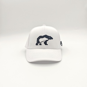 Gorra de Béisbol Deportiva de Alta Gama, 6 Paneles, Color Sólido, Ajustable, con Logotipo Personalizado, para Club de Golf, Bordada - Product Image 4