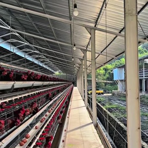 <span class=keywords><strong>Cage</strong></span> usagée du système de colonies enrichies pour volailles, poulets pondeurs avec composant moteur central