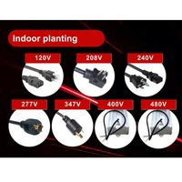 Lámpara de Doble Extremo Luxx De 1000W Kit Lux Lights Gavita HPS para Cultivo de Plantas con Balastro Electrónico