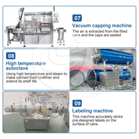 Automatische Perziken Ingeblikt Fruit Maker Machine Ingeblikte Ananas Productielijn Ingeblikte Voedselverwerkende Machines
