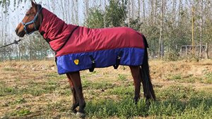 Coperte Invernali per Cavalli con Copricollo Staccabile Impermeabile - Product Image 3