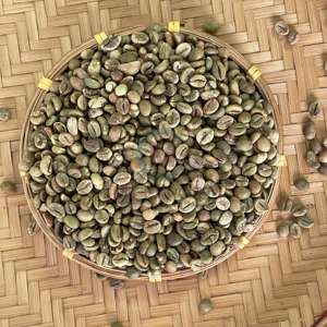 Venta al por mayor de granos de café verde Robusta de Vietnam tamaño 16 100 por ciento granos crudos tostado industrial Bolsa De yute suministro de fábrica - Product Image 6