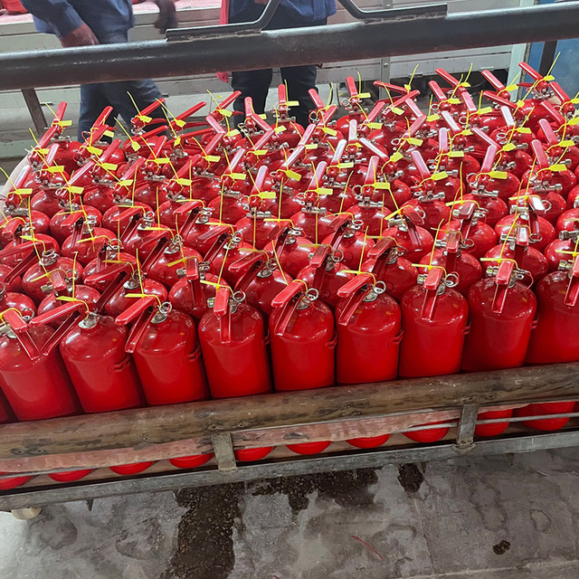 Compliance Certified CE EN3 1kg Dry Powder Fire Extinguisher ABC Fire Extinguisher