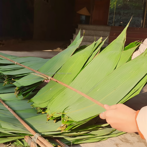 Feuilles de bambou 100% naturelles séchées au soleil, grande taille 9cm+, prix compétitif pour la fabrication de gâteaux, directement du Vietnam, marque HNIECO - Product Image 1