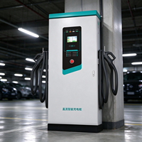 Chargeur rapide DC EV double prise, station de recharge Energy Park avec écran tactile LCD, lecteur de carte, IP54, installation en zone de stationnement