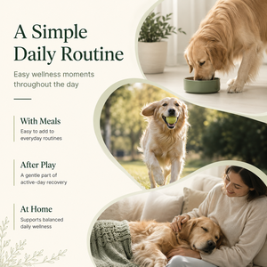 Suplemento Premium para la Salud Sanguínea de Perros con Vitamina B12 y Baya de Espino para la Vitalidad Diaria y Apoyo a la Circulación, Cuidado de Mascotas - Product Image 3