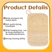 Éponge à récurer en loofah pour légumes, tampon à récurer multi-usages pour la vaisselle de cuisine, éponge exfoliante en luffa