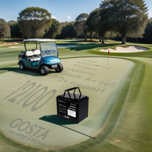 GOSTA BA12100 BA 12V 12.8V serie 100AH sostituzione acido piombo batteria ricaricabile LiFePO4 - Product Image 2