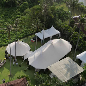 Carpa para Fiestas Extra Grande para 100 a 800 Personas, Carpas Grandes para Banquetes, Carpas para Eventos, Grandes Celebraciones de Boda, Carpa para Bodas - Product Image 2