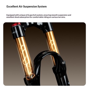 Fourche avant VTT Bolany FKA019 26/27,5/29 pouces en aluminium avec <span class=keywords><strong>suspension</strong></span> pneumatique et absorption des chocs - Product Image 4