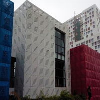 Panneaux de mur-rideau contemporains en aluminium avec découpes géométriques pour l'extérieur des bâtiments, revêtement poudré anti-corrosion