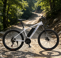 Vélo Électrique Adulte Personnalisable avec Logo, Jantes en Acier Allié, Charge Maximale 160 kg, Autonomie 60 km, Vente en Gros Transfrontalière Mondiale
