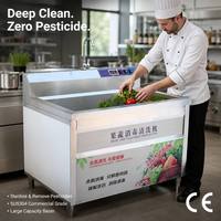 Commerciële fruit- en groentewasmachine, desinfectiemiddel, roestvrijstalen spoelbak, mand voor het verwijderen van pesticiden, apparatuur voor voedselverwerking