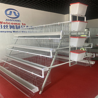 Cages à batterie pour volailles, poules pondeuses, dimensions pour 1000 cages à poules pondeuses