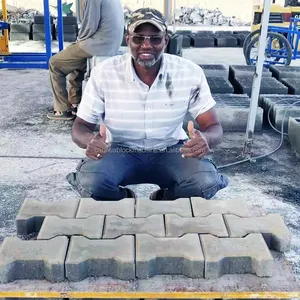 Blocs de fondation hydrauliques QT5-15 Afrique du Sud Machine de fabrication de blocs creux Machine de fabrication de briques de ciment à pompes Coimbatore Bleu