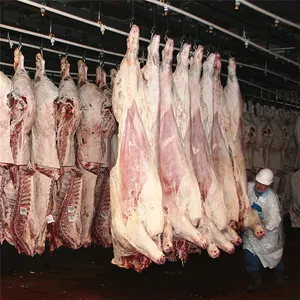Abattoir البقري مسلخ مع لحوم البقر الحلال جزار اللحوم عملية معدات ذبح