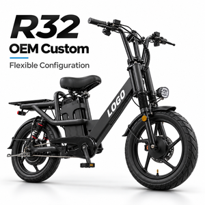 Bicicleta Eléctrica de Carga de 750W de Alta Resistencia, Personalizada OEM, 48V 32Ah, Neumático 18x2.5, Carga de 200KG, Doble Suspensión Hidráulica de 180mm, R32 - Product Image 1
