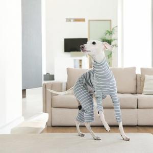 Mono personalizado de Ballet, ajustado, elástico, con rayas de calor, cuello alto, cálido, cómodo, para perros, ropa de invierno para mascotas, para <span class=keywords><strong>Galgo</strong></span> <span class=keywords><strong>Italiano</strong></span> - Product Image 3