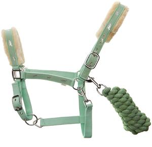 Shemax Horse Print Piel Acolchada Cabeza Collares Halter Set Plomo a juego en verde menta - Product Image 5