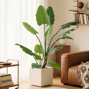 Albero Artificiale di Philodendron Erubescens in Plastica Verde Smeraldo, Leggero e di Alta Qualità, dall'Aspetto Naturale che Aggiunge Bellezza - Product Image 1