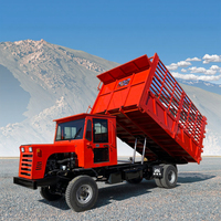 Camion à benne basculante électrique à quatre roues Camion cargo agricole à grande charge Dumper 5000kg Camion à moteur électrique