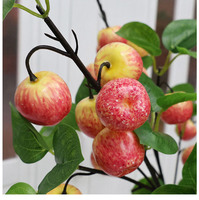 Branche de fruits artificiels réalistes Pomme Grenade Kaki – Ornement Paix et Joie pour la décoration de salon et de maison – Vente en gros