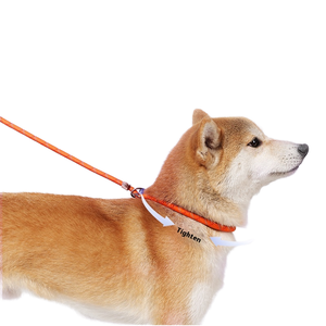 Laisse de dressage rétractable et réfléchissante personnalisée pour chiens de taille moyenne à grande, 1,5 m, poignée souple, 100 % nylon, pour <span class=keywords><strong>caniche</strong></span> - Product Image 1