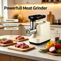 Machine de traitement de viande et de saucisses, hachoir automatique de cuisine portable, silencieux, en acier inoxydable, démontable, pour hacher la viande