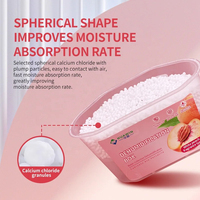 Boîte déshydratante jetable au chlorure de calcium 400 ml 180 g pour la maison et la garde-robe, anti-humidité, absorbeur d'humidité