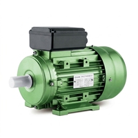 Moteur asynchrone monophasé OMEIK série MY 0,75 kW 1 CV, protection IP54, 3000 tr/min, montage sur pied 130 mm pour meuleuse