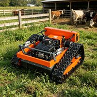 Livraison gratuite EPA Euro 5 Tondeuse à gazon intelligente télécommandée personnalisée, Souffleuse à neige, Robot tondeuse à gazon, Mini tondeuse à gazon avec siège