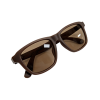 Lunettes intelligentes tactiles sans fil V5.3 marron pour sports de plein air, appels téléphoniques, lecteur de musique, OEM AI Gonbes G10, charge magnétique