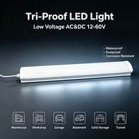Luminaire LED Tri-proof IP65 en PC, 36W, 12-60V DC&AC, 1,2 m, personnalisé pour usine