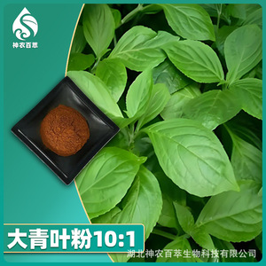 Polvo de hoja de Isatis 10:1, extracto de hoja de Isatis, polvo de materia prima flavonoides, polvo de extracto de hoja de Isatis soluble en agua. - Product Image 2