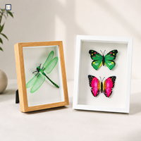 Marcos de madera a granel tipo shadow box de 3 cm y 5 cm de profundidad, marco de fotos 3D para flores secas, manualidades DIY y exhibición de especímenes