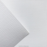 250GSM 350GSM 1100DTEX 12*12 nouvelle technologie matériaux vinyle PVC enduit polyester maille dans la doublure pour la publicité à jet d'encre