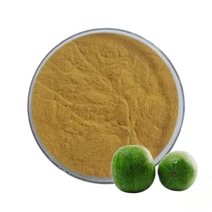 Natural Monk Fruit Sweetener Mogrosides V25% 50% Powder Organic Monk Fruit Extract