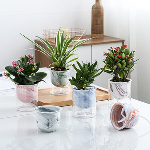 Hiện Đại Rõ Ràng Thủy Tinh Và Đá Cẩm Thạch Gốm Lười Biếng Người Lọ Hoa Tự Tưới Nước Thủy Canh Trồng Chậu Hoa - Product Image 1