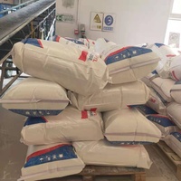 HPMC (Hydroxypropylméthylcellulose) OEM ODM pour produits chimiques de construction, enduit de finition et mortier EIFS