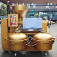Presse à huile combinée 2-en-1 YZLXQ140-8K pour arachides, soja et tournesol – Vente en gros
