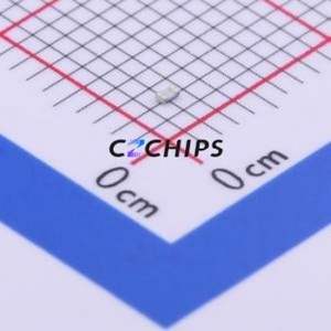 Résistance SMD ERJU02J101X 0402 (Type : Film épais) (Résistance : 100 Ohm Précision : 5%) - Product Image 2