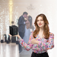 NOUVEAU Système de Tir de Feux d'Artifice Froids 350W, Format Palmier, Conforme RoHS, pour Scène Intérieure, Fêtes, Mariages, Événements et Spectacles DJ