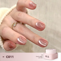 Gel magnétique œil de chat Youth Rose 30 couleurs avec pinceaux pour nail art, super brillant, à retirer par trempage, compatible UV LED, fournitures de vernis à ongles