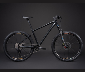 인기 있는 패셔너블 스포츠 합금 자전거 SUNPEED ACE 산악 자전거 남녀 공용 - Product Image 6