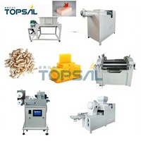 Machine de fabrication de savon chimique Topsail en acier inoxydable avec servomoteur, fonction de séchage, ligne de production de savon pour toilettes et lessive 1000-3000L