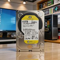 Disque dur de surveillance SATA 3,5 pouces Stock Gold Enterprise 1-4 To pour ordinateur de bureau (Fabriqué aux États-Unis) 7200 tr/min 128 Mo de cache pour utilisation CCTV