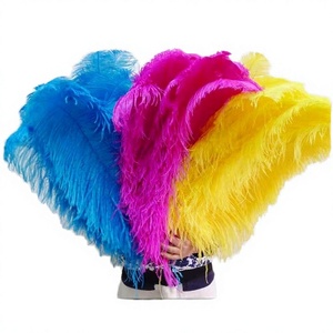 Plumes d'autruche colorées teintées sur mesure en gros pour artisanat promotionnel à prix abordable - Product Image 4