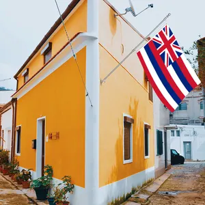 Bannière de drapeau Hawaii 3x5Ft avec 3 plis double face et deux œillets en laiton Décoration murale d'extérieur