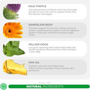 อาหารเสริมสำหรับสุนัขธรรมชาติสนับสนุนตับสุนัขพร้อมดีท๊อกซ์มิลค์ทิสเทิล - Product Image 2